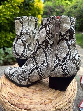 French Connection Snake-Print Ankle Boots in Ivory and Black
